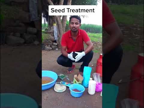 बीज उपचार विधि🌱🌱Seed Treatment Method #Shorts