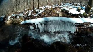 Native Trout fishing Roaring Run in PA.