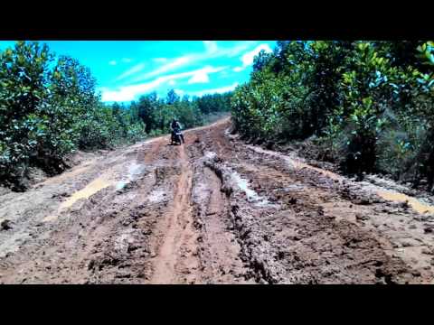 jalan menuju tanah grogot dari riwang batu engau kaltim... jalan alternatif, jln poros juga jelek