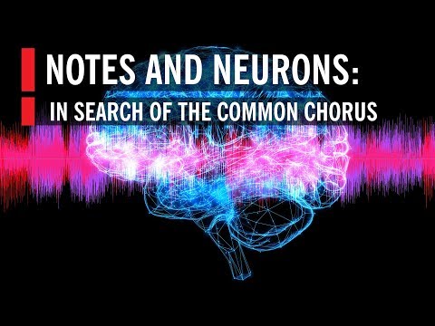 Notes and Neurons: In Search of the Common Chorus