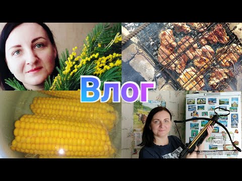 8 марта / Шашлык / В деревне / Подарок на 8 марта / Покупки в Магнит Косметик /Дорога / Anika Z влог