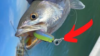 Speckled Trout Tutorial - How To catch Fish Every Cast!