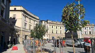 Firenze, prende forma la nuova piazza Beccaria: arrivati i gelsi (il video)