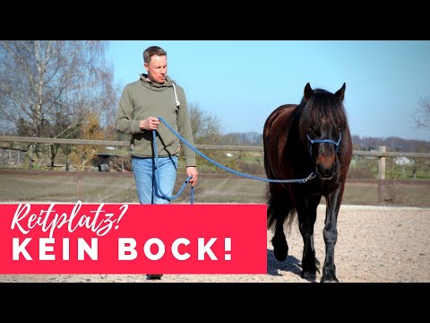 Pony Granada hat keinen Bock auf den Reitplatz
