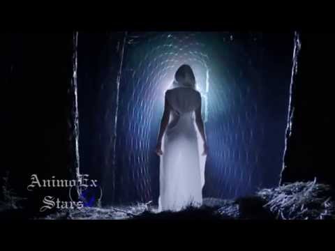AnimoEx - Stars