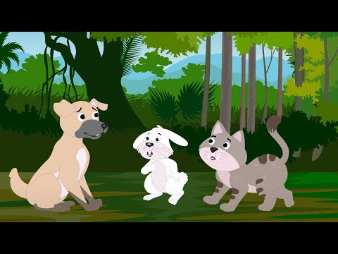 What do the Animals Really Think - English Story I Bedtime Story I Kids Stories I Animated Stories