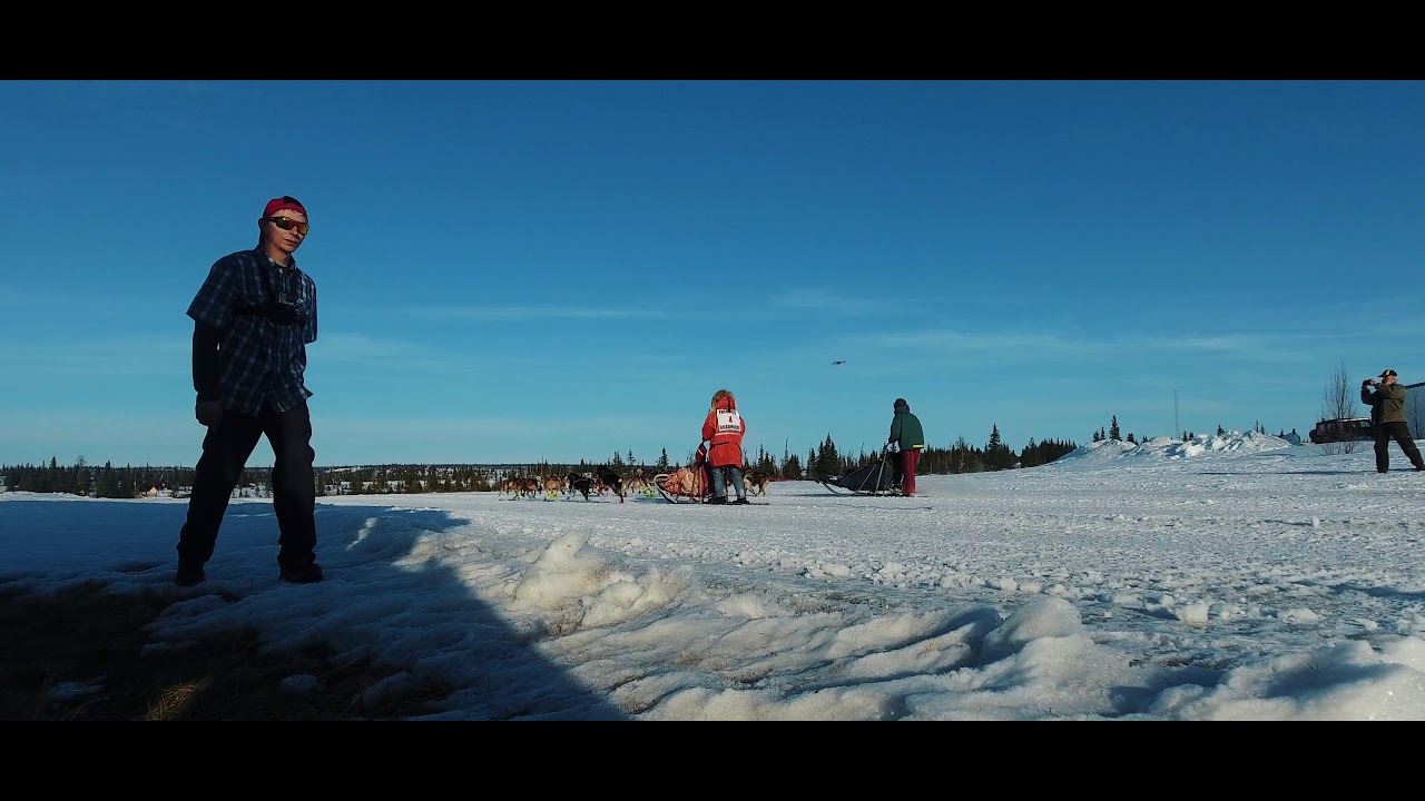 Freddie's Midnight Sun Alaskan Sled Dog Race