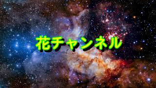 ビクロイフォートナイト【Fortnite】