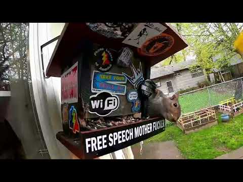 The Snow Plow Show Episode 784 - Lawn Polarity and Waste Removal Trucks