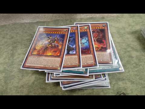 4th Place Deven Aman Metalfoe Zoo West Allis, Wisconsin Regional Deck Profile