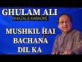 MUSHKIL HAI BACHANA DIL KA GHULAM ALI GHAZALS KARAOKE BY VIJAY SINGH MEENA @abhinavmusiccafe