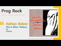 [Prog] Adrian Belew - This Is What I Believe In