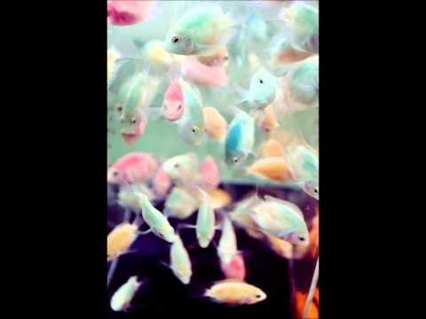 Love Machine - Non Tiq. We are Legends Remix.