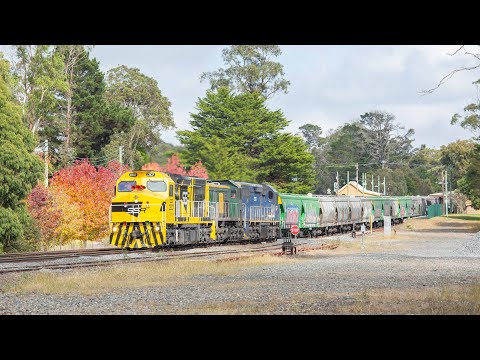 SSR Compilation - March-November 2024