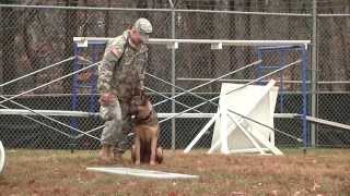 preview picture of video 'Military Working Dog (K9) Certification with the 947th MP Detachment'