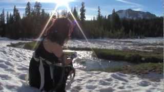 Sentinel ~ Somewhere Else