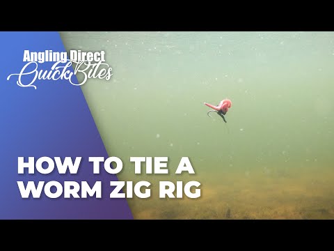 Wie man ein Wurm-Zig-Rig bindet - Karpfenangeln Quickbite
