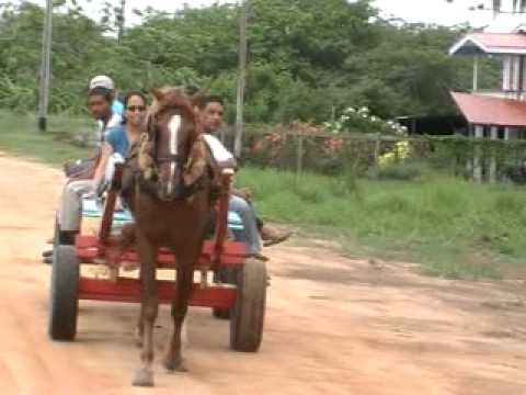 Horse Cart Ride in The Village of Garden of Eden, Guyana