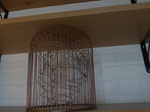 Product Of Our Environment: Explained By Germaine Dunn