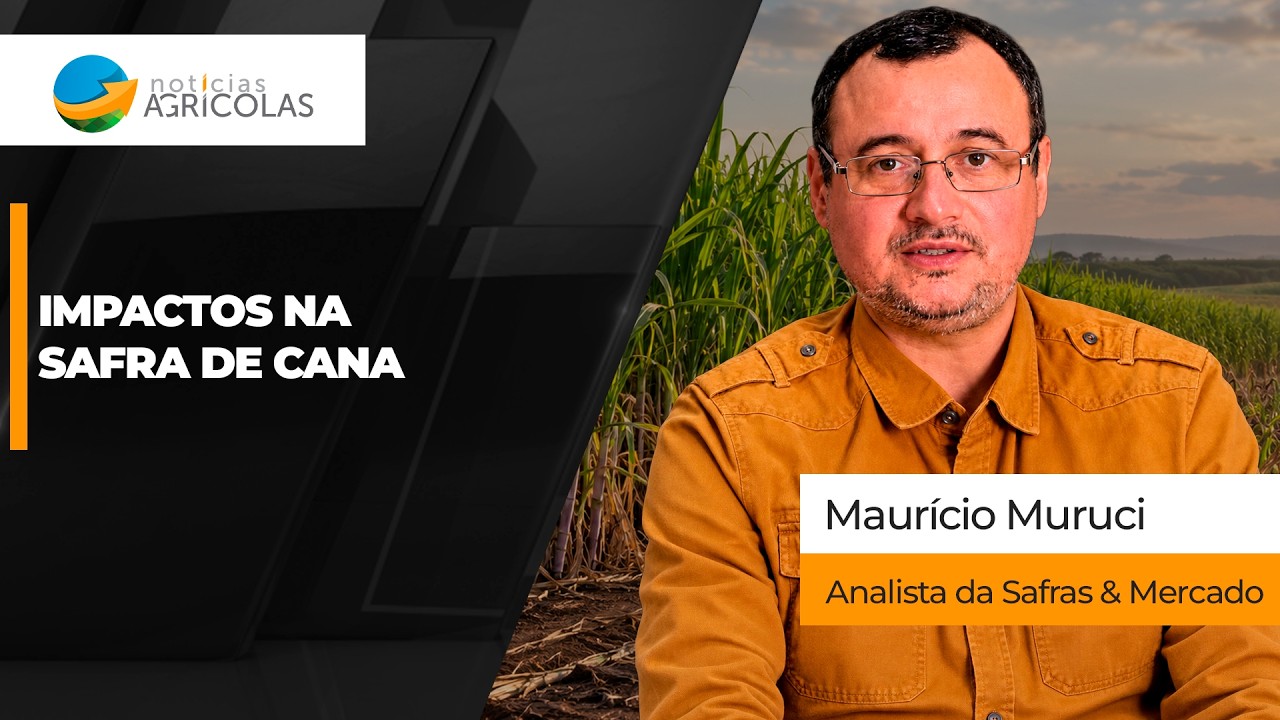 Excesso de chuvas impacta no andamento da colheita de fim de safra e ciclo 27 entra no radar