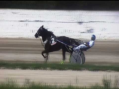 Trotto 07/09/2018 - 2ª corsa