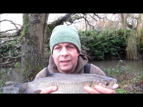 Float fishing for chub on the River Blackwater