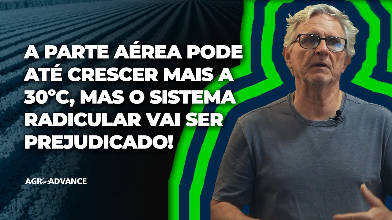 Temperatura do Solo e Crescimento das Raízes: como fazer o Manejo Agrícola - Prof. Paulo Mazzafera