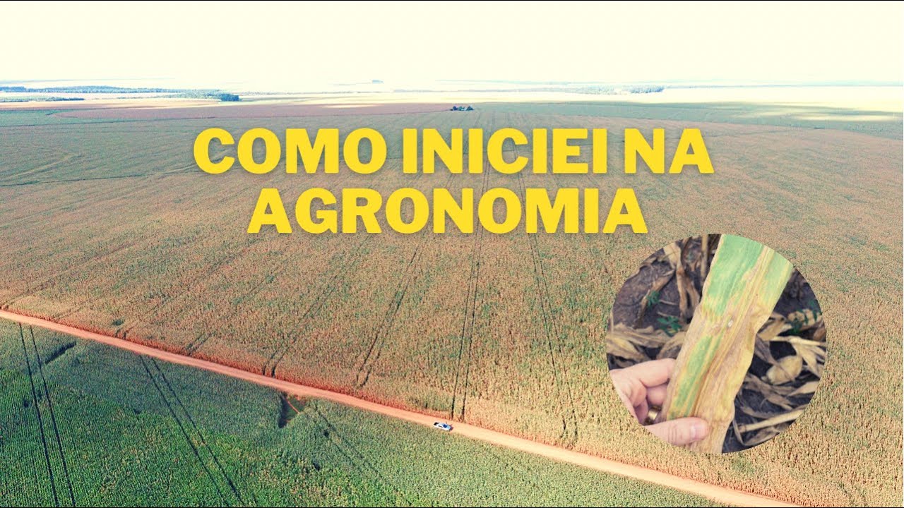 Como iniciei minha carreira como agrônomo!
