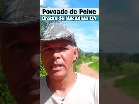 Mata Burro | No Povoado de Peixe | Em Brotas de Macaúbas | Bahia