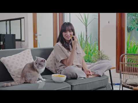 PerySmith Cordless Vacuum Cleaner Sonic Pro Core Series X7 Pro Link  di bio item no 3