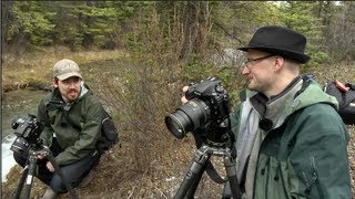 Nikon D800E Field Test with Nick Devlin