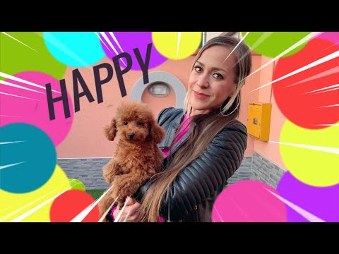 Najveće iznenadjenje godine za Ariju! Stiže novi član porodice!