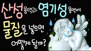 산성 용액과 염기성 용액에 물질을 넣으면 어떻게 될까요 [초등 과학 5학년 2학기 5단원 6차시]