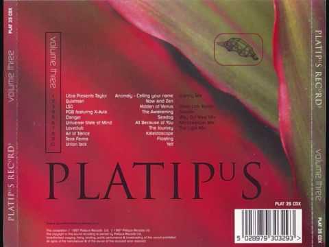 Libra Presents Taylor & Anomaly Calling Your Name (Granny Mix)