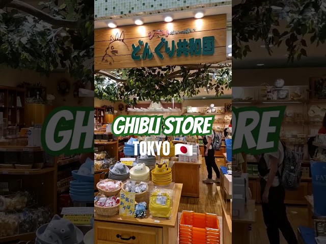 Vídeo relacionado con Skater Studio Ghibli My Neighbor Totoro, bolsa de almuerzo para Bento 33 x 25 cm, mezclilla azul y corcho, con aislamiento de temperatura, importación de Japón KBCO2