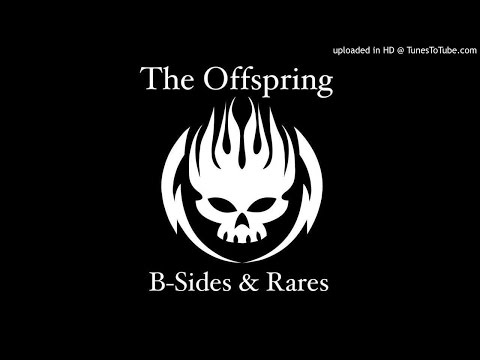 Territorial Pissings (cover) - The Offspring