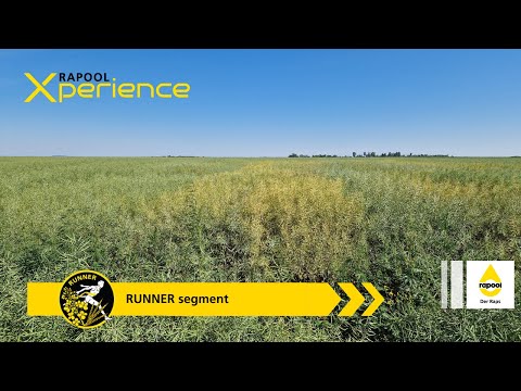 RAPOOL Xperience: Runner - a new segment