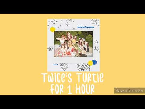 Descargar Twice Turtle Mp3 Gratis Ver Video De Mp4 16 Descargar Twice Turtle Mp3 Gratis Ver Video De Mp4 16