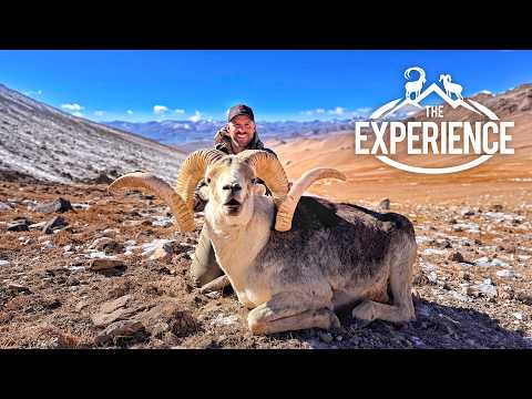 Chasing The Dream | Marco Polo Sheep | Tajikistan Hunting