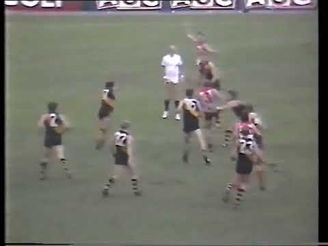 Round 9 1988 Sydney v Richmond highlights