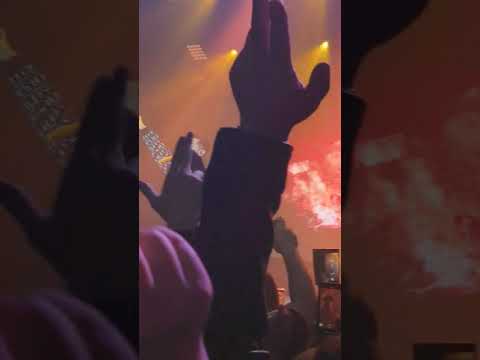 190223 The Quiett - Bently [glofo concert]