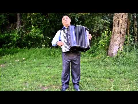 Dan Coreeanu - Instrumentala acordeon