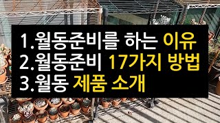 다육이 월동 준비의 모든 것(월동 노하우 17가지, 월동 제품 소개) succulents/多肉植物/たにくしょ…