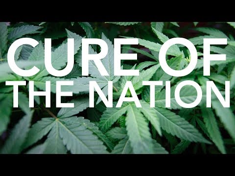 4i20 & 8THSIN & Lighters - Cure of The Nation (Original Mix)