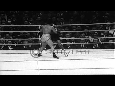 Masahiko Harada wins the World Bantamweight Title in boxing, Nagoya, Japan. HD Stock Footage