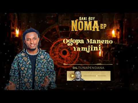 Sani Boy - Tunapendana ( Track No 4) 