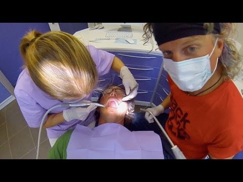 Everyone is So Freaking Extreme - Bird Out of the Cage