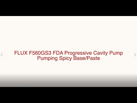 FLUX F560GS Pump w/F457 Electric Motor - Spicy Base/Hot Sauce Paste