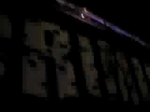 Arkus P. live @ CRIMINAL Camp Nature One 2008