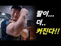 요즘 내 팔을 크고 강하게 만드는 훈련 & 팔씨름 토크